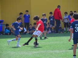 MIS Sports